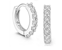 Load image into Gallery viewer, Beautiful Stone Loop Earrings