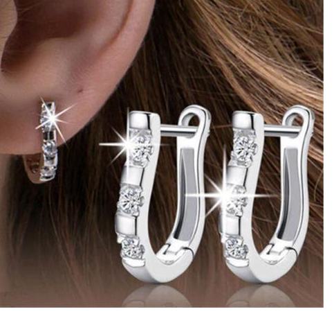 Sparkling Horse Shoe Earrings