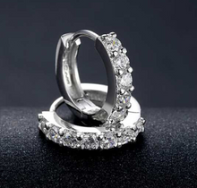 Load image into Gallery viewer, Beautiful Stone Loop Earrings