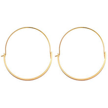 Load image into Gallery viewer, Elegant Hoop Plate Earrings
