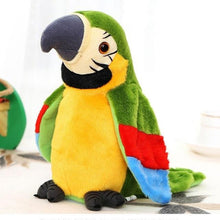 Load image into Gallery viewer, Kids Talking Parrot &amp; Budgie